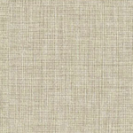 CINTERPLUS - Fabric Series CL3025-GD-PLUS (4x9)